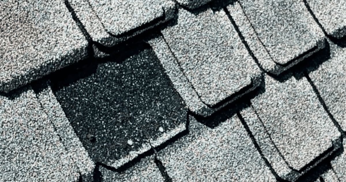Close-up of an asphalt shingle with a dark patch where hail knocked off the granules