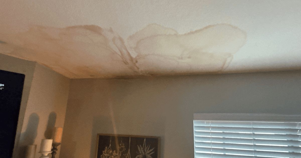 Brown water stains spreading across a living room ceiling after a roof leak