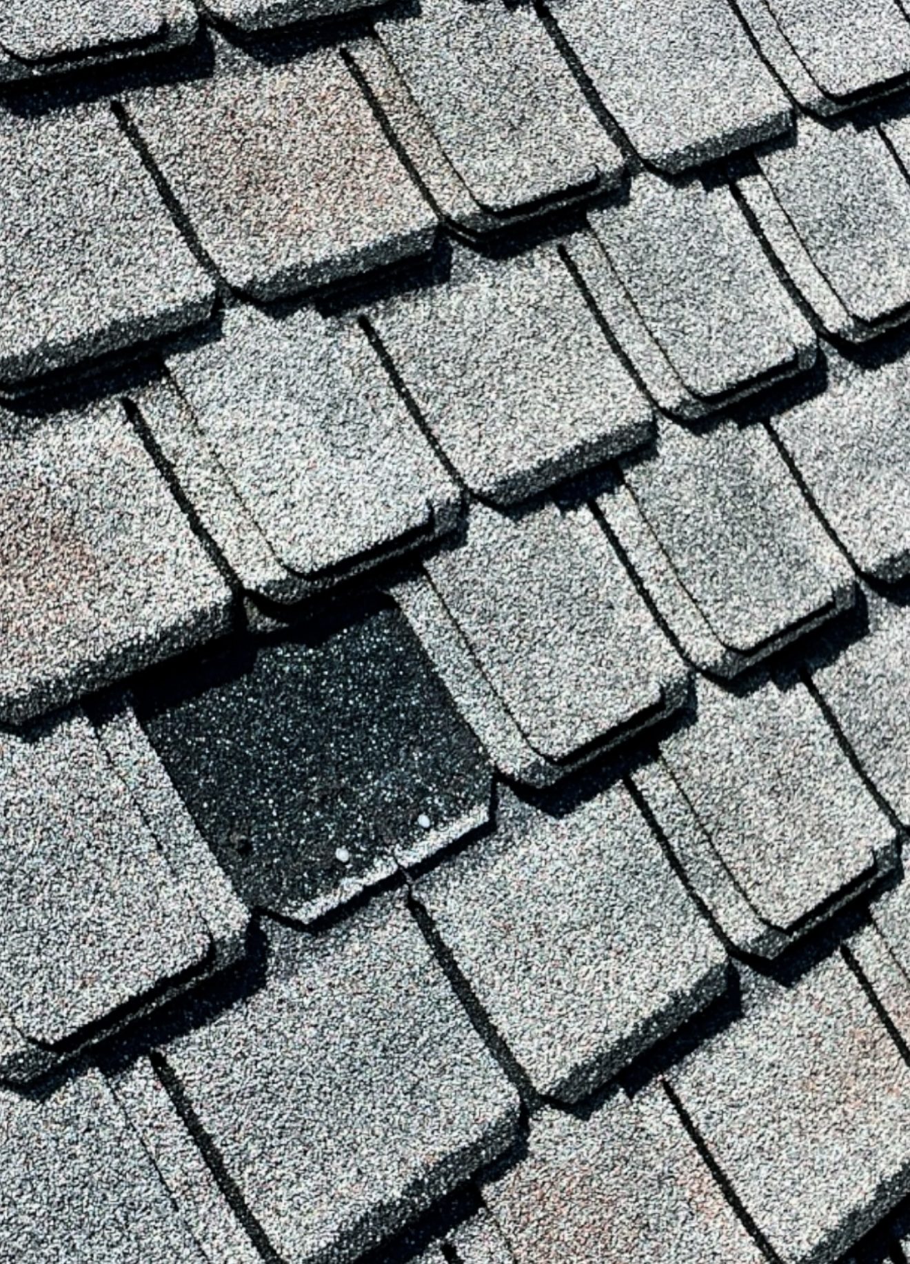 Granule loss and a damaged shingle, up close