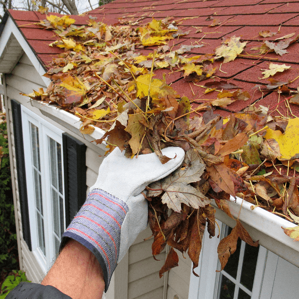 Clearing Leaves from Oklahoma Gutters