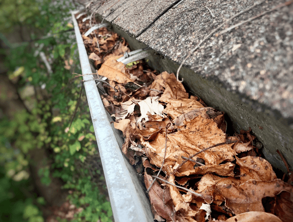 Essential Tips for Preparing Your Gutters for Spring