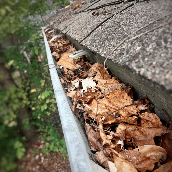 Essential Tips for Preparing Your Gutters for Spring