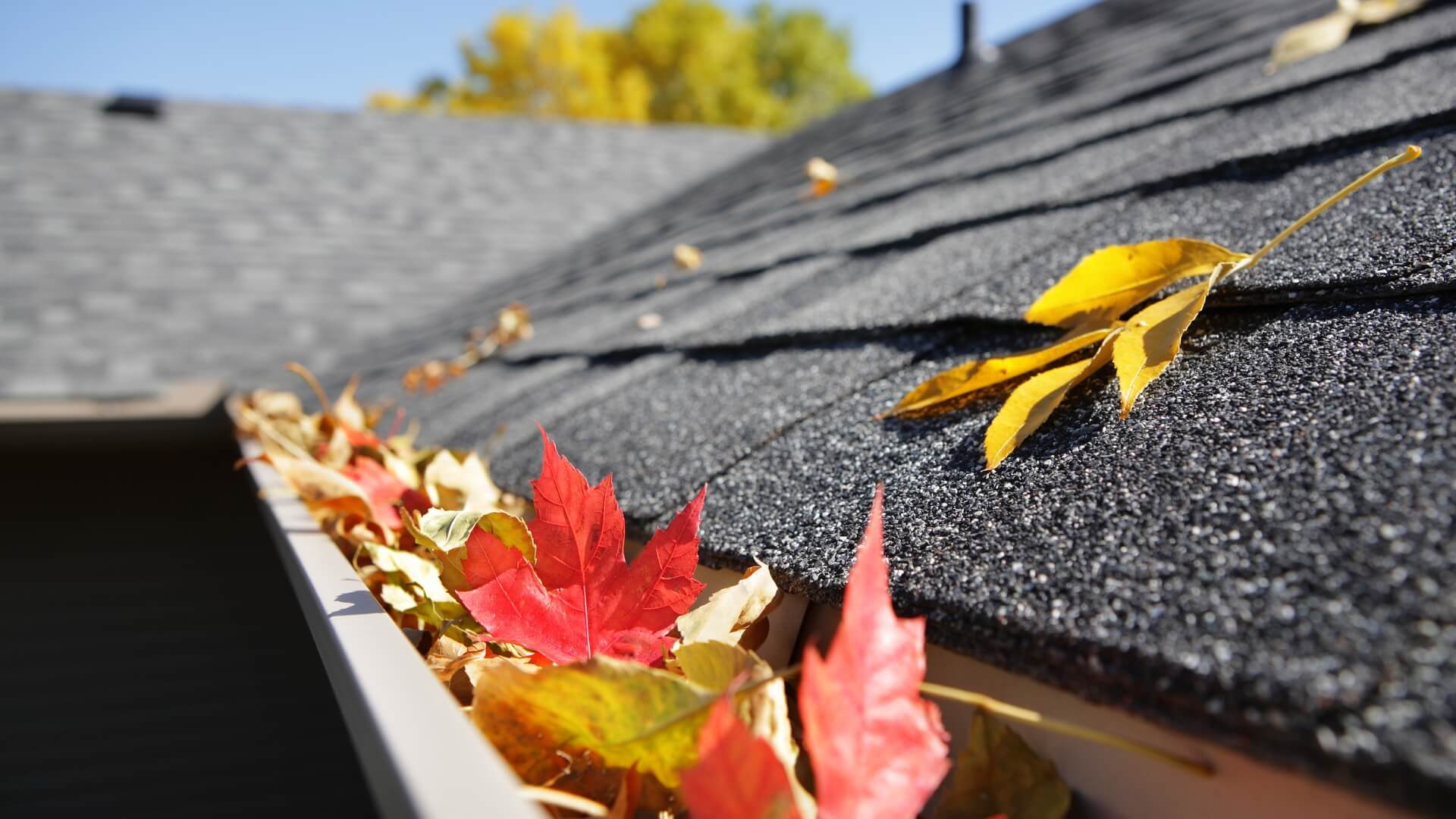 7 Essential Reasons to Schedule Roof Services This Fall